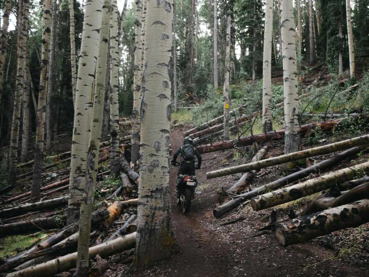 Willow Mountain Trail photo 6