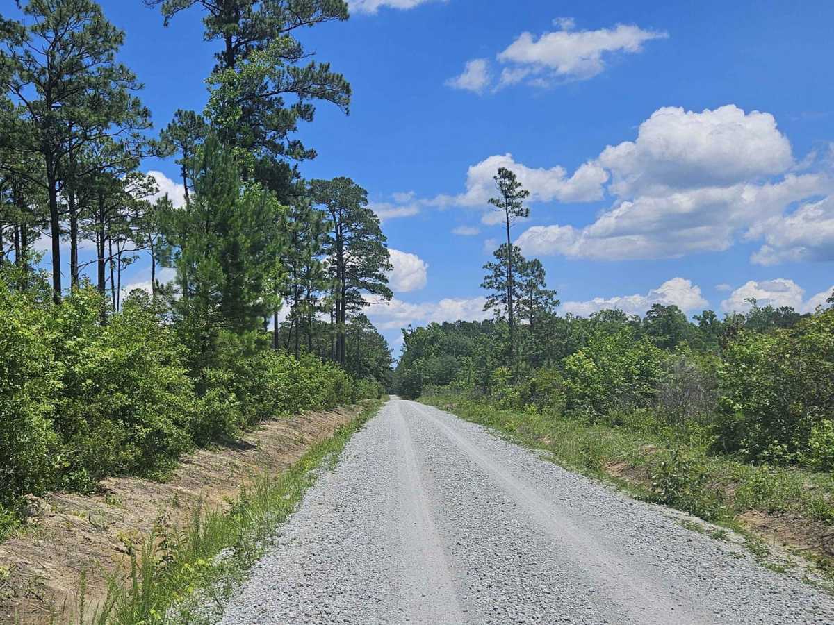 Great Lake Road (126) photo 2
