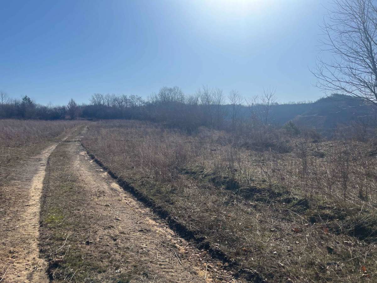 Trail 22 (Lovers Lane) photo 2