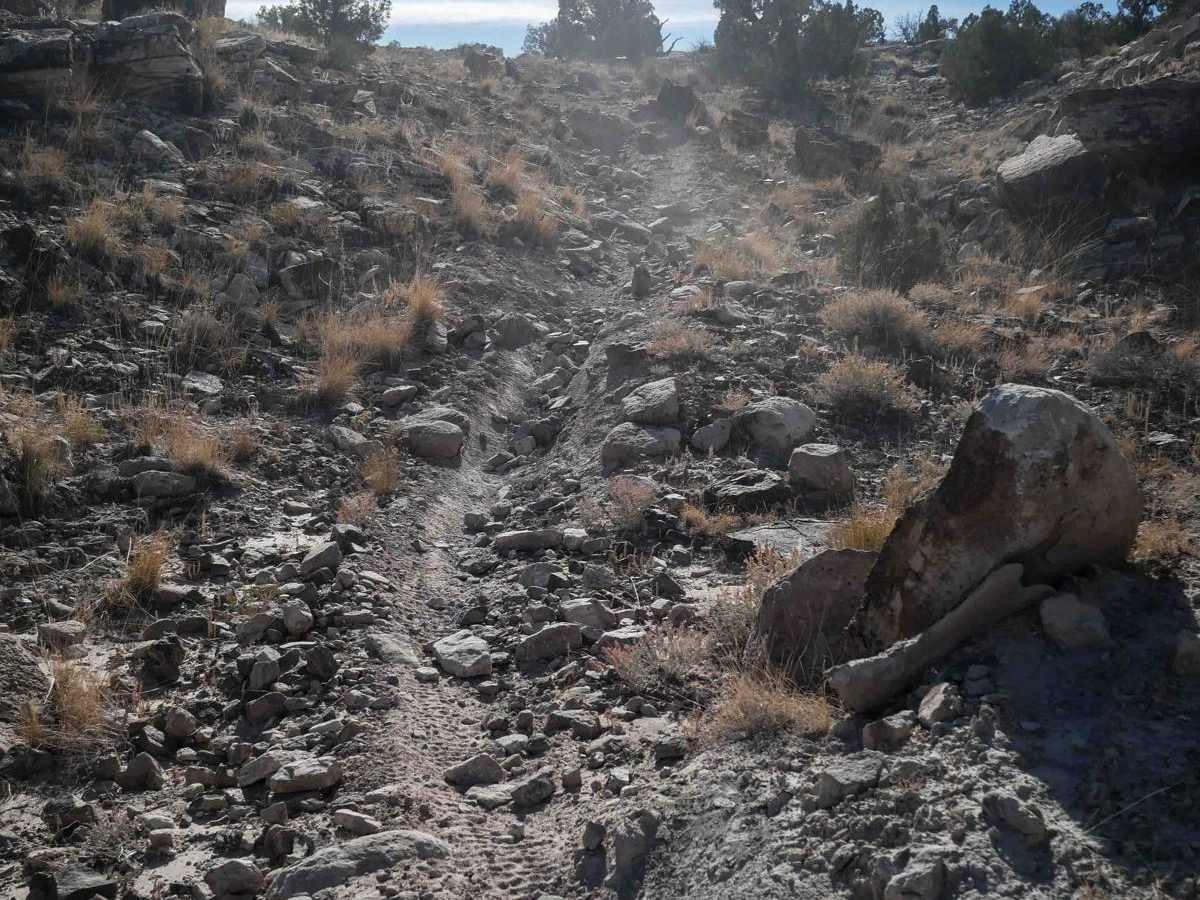 Odds North Access Trail photo 2