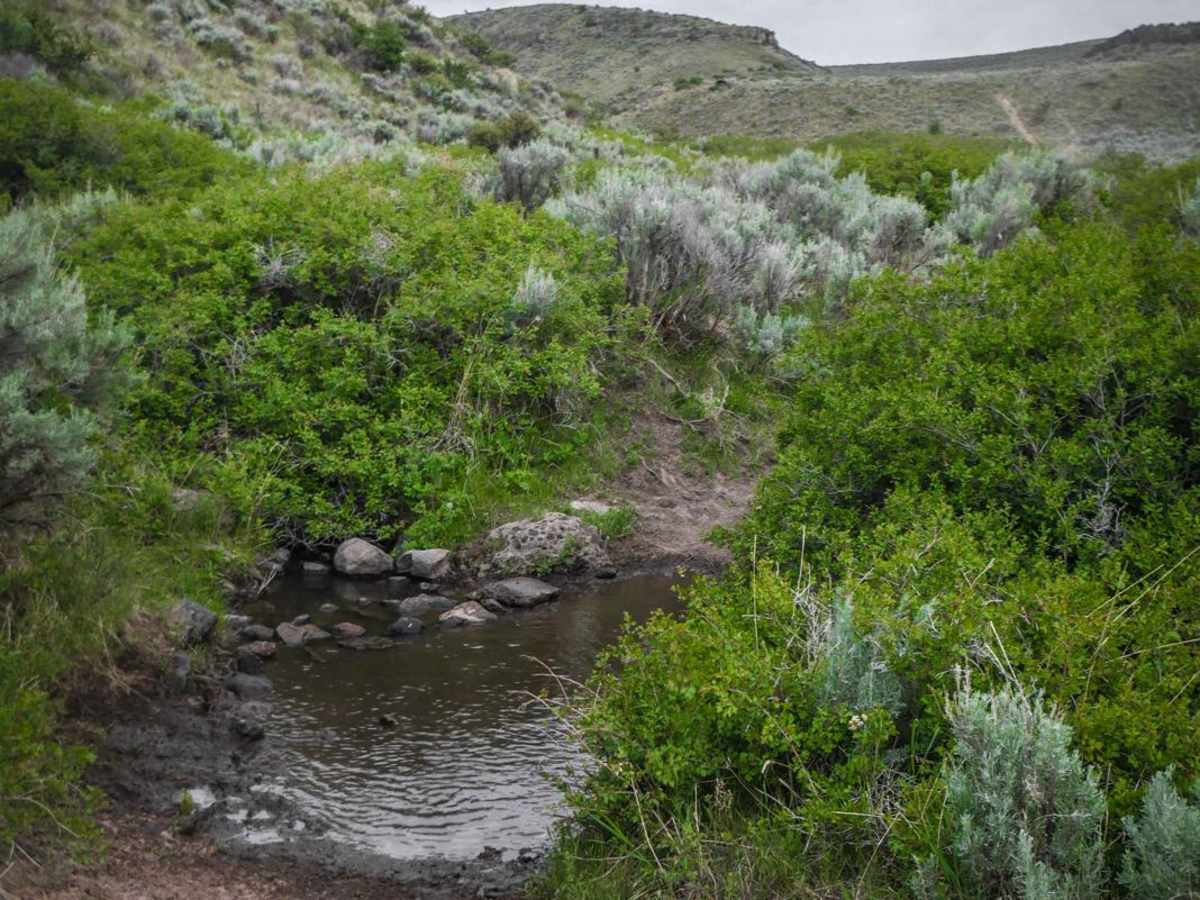 Lower Dry Gulch trail photo