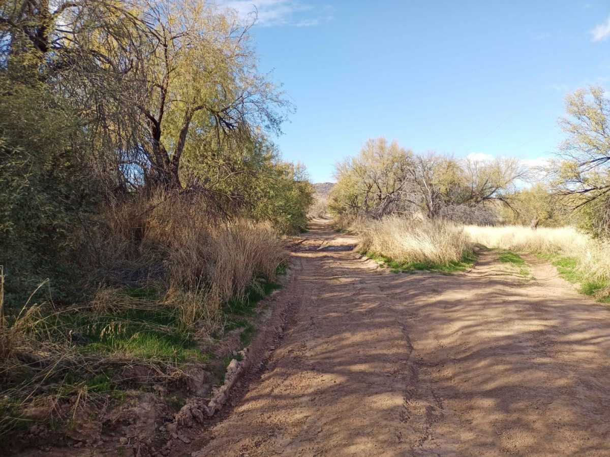 Upland BLM Inlet | Vekol Wash Access photo 3