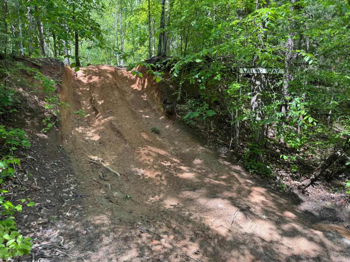 That Dam Trail photo 2