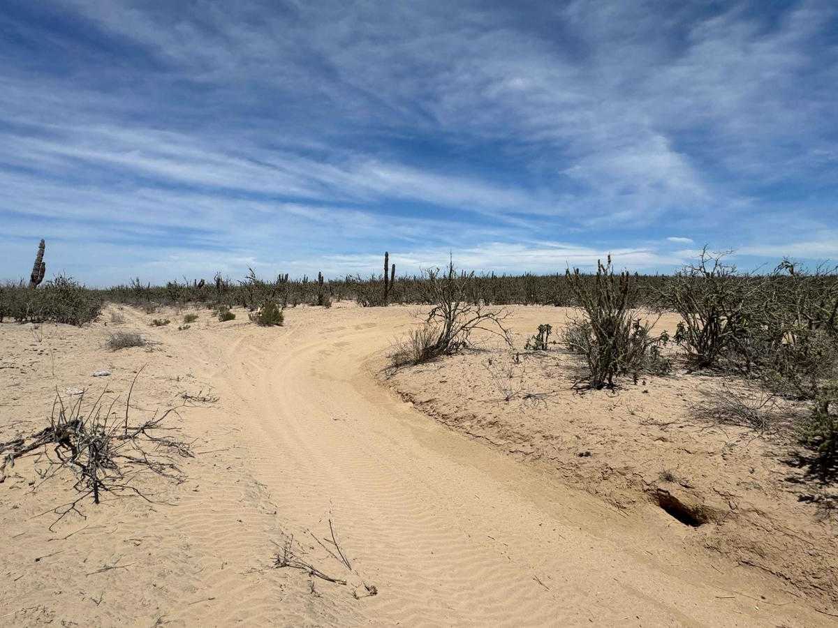 Guatamota Dunes photo 4
