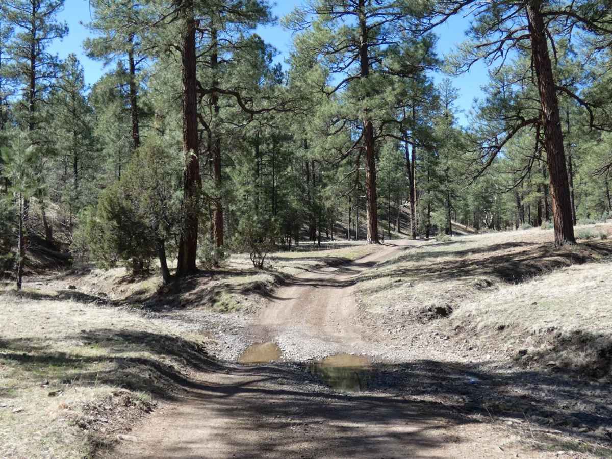 Frank's Ranch Road photo 5