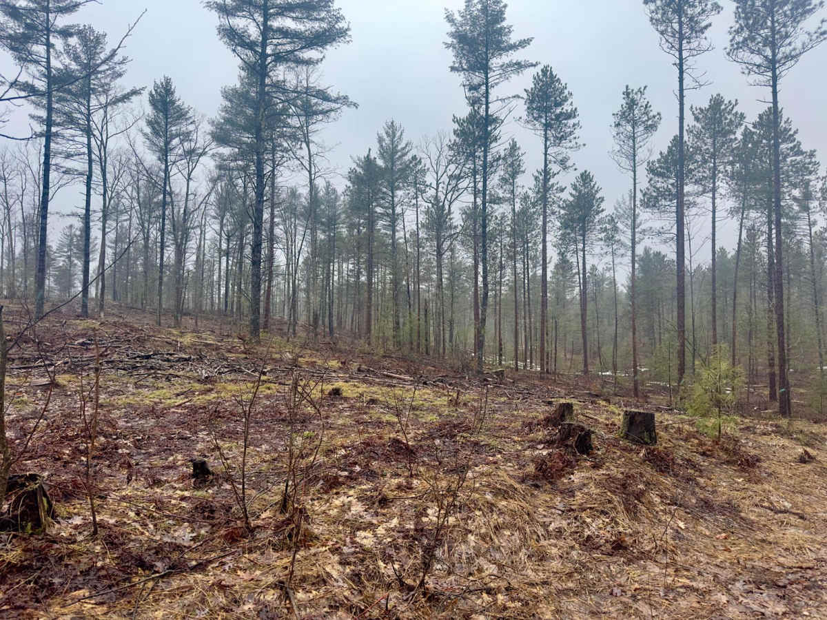 Guernsey Lake Rd NW photo 4