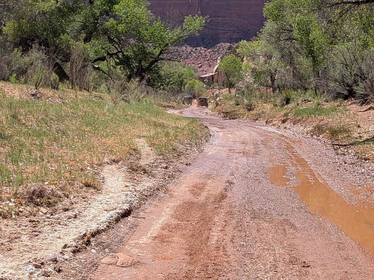 Horseshoe Canyon photo 5