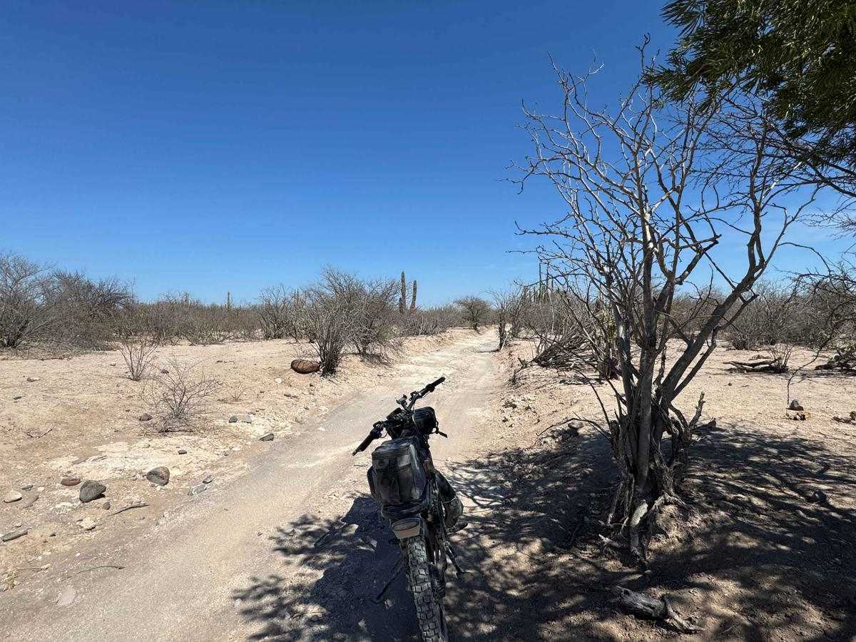 Rancho Golondrinas Crossover photo 4