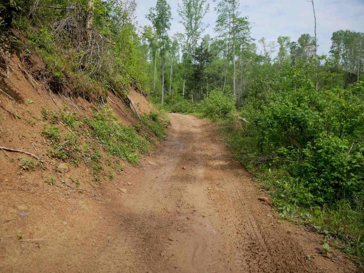 OP 28 trail photo