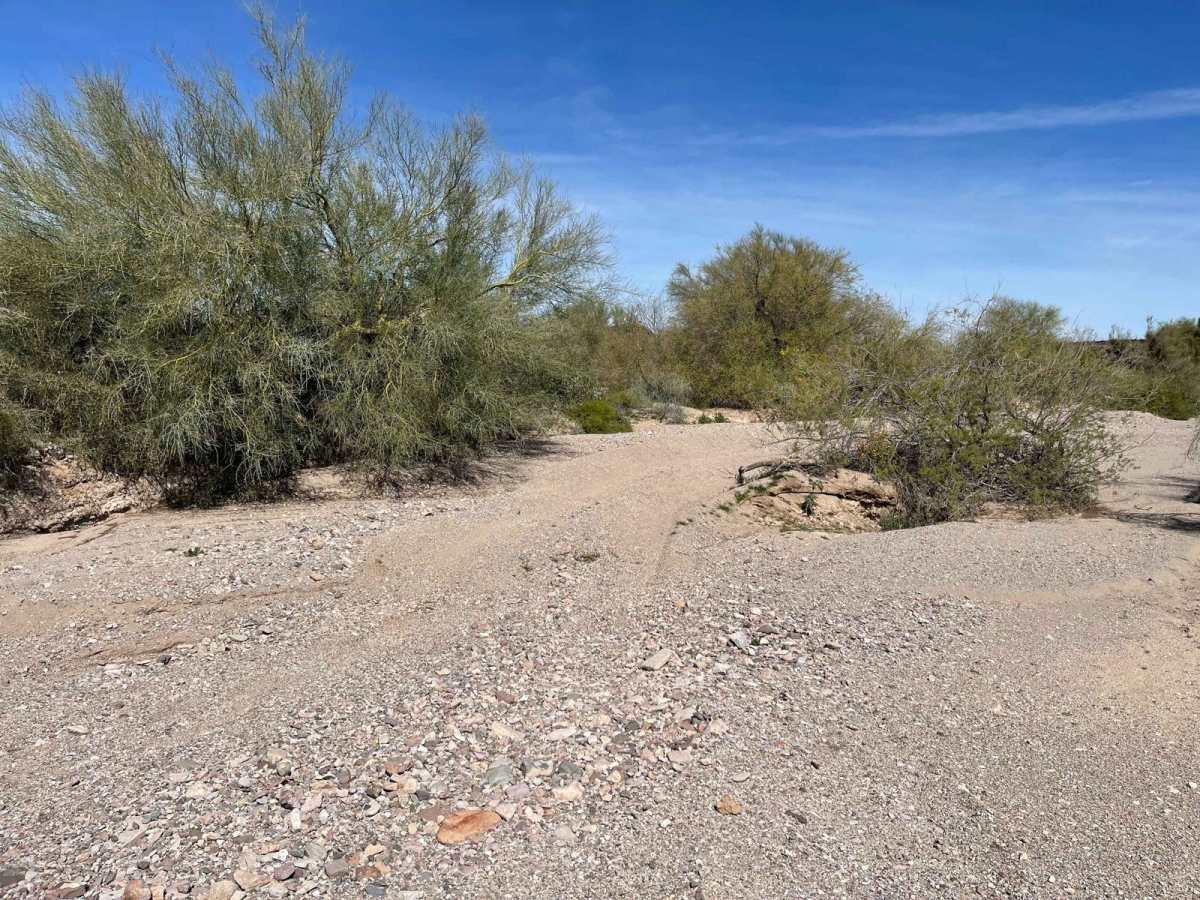 NottBusch Wash photo 4