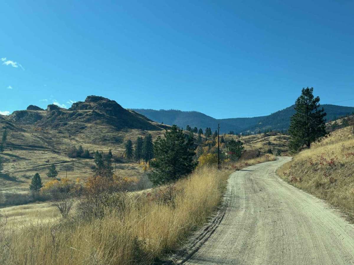 Burnell Lake Road photo 5