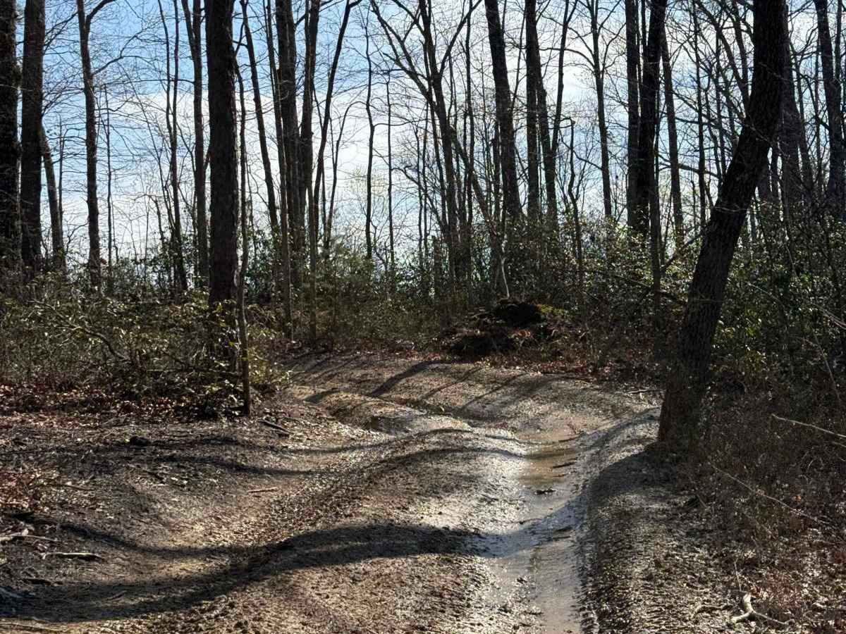 Trail 7 photo 2