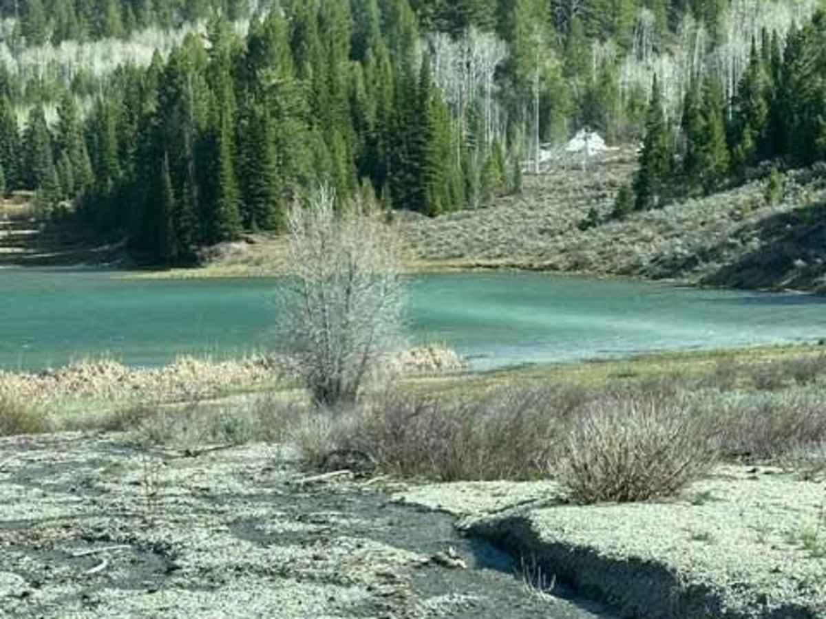 Huff Lake photo 4