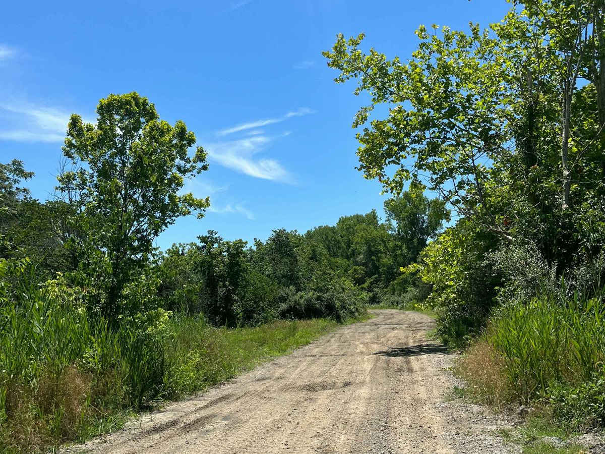 Amax Haul Road photo 6