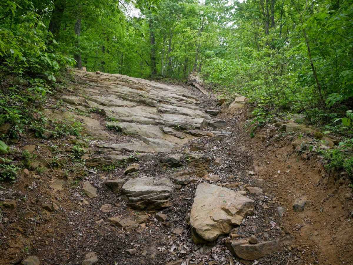 BM 57 trail photo