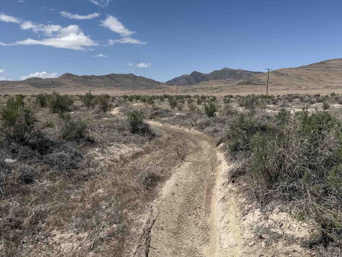 Flow State trail photo
