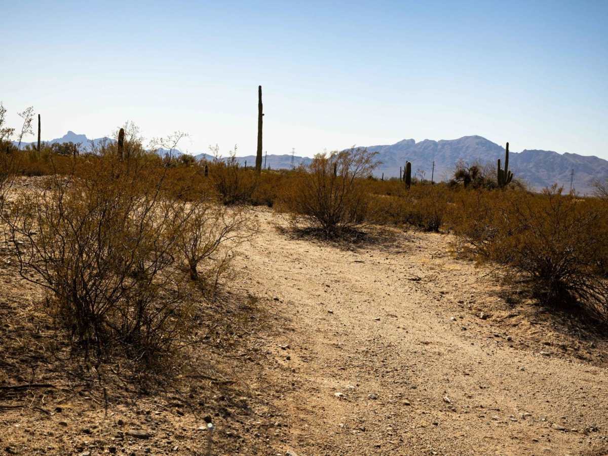 Seclusion Corner trail photo