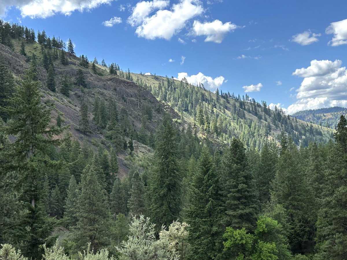 Rock Creek Road photo 4