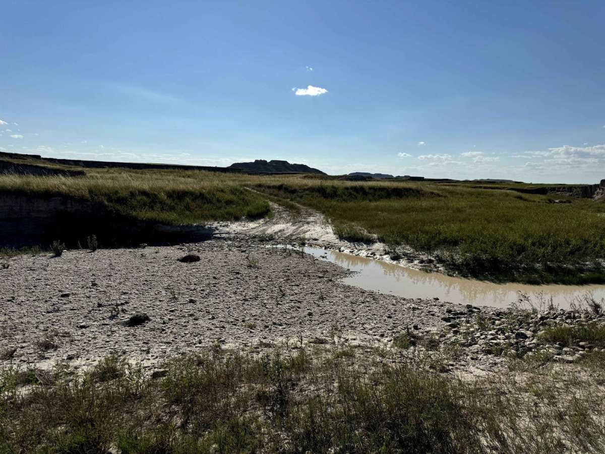 Buffalo Gap Natl Grassland South photo 3