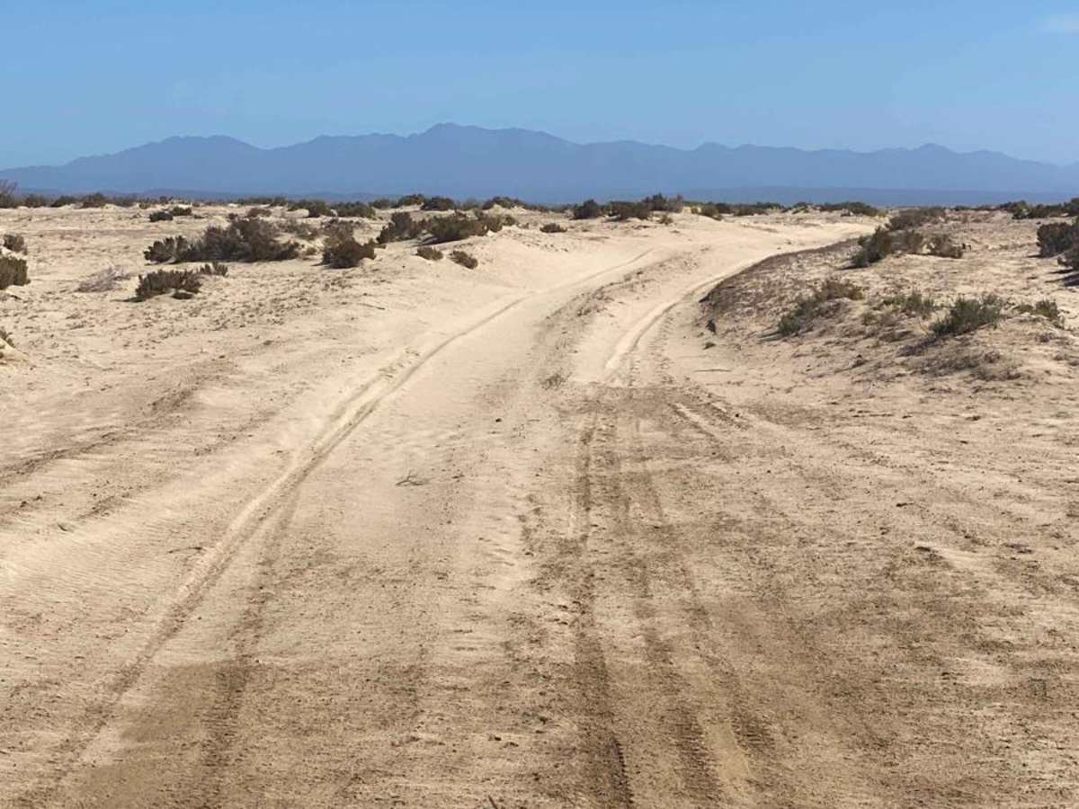 Southeast Low Road photo 2