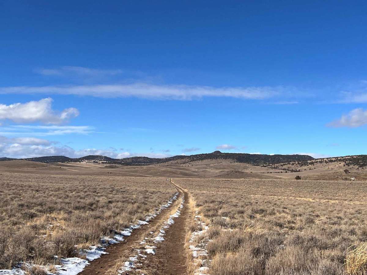 Wild Horse Tank Road photo 2