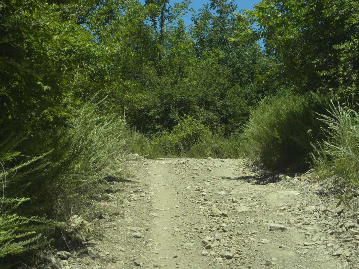 6A &6B loop photo 2