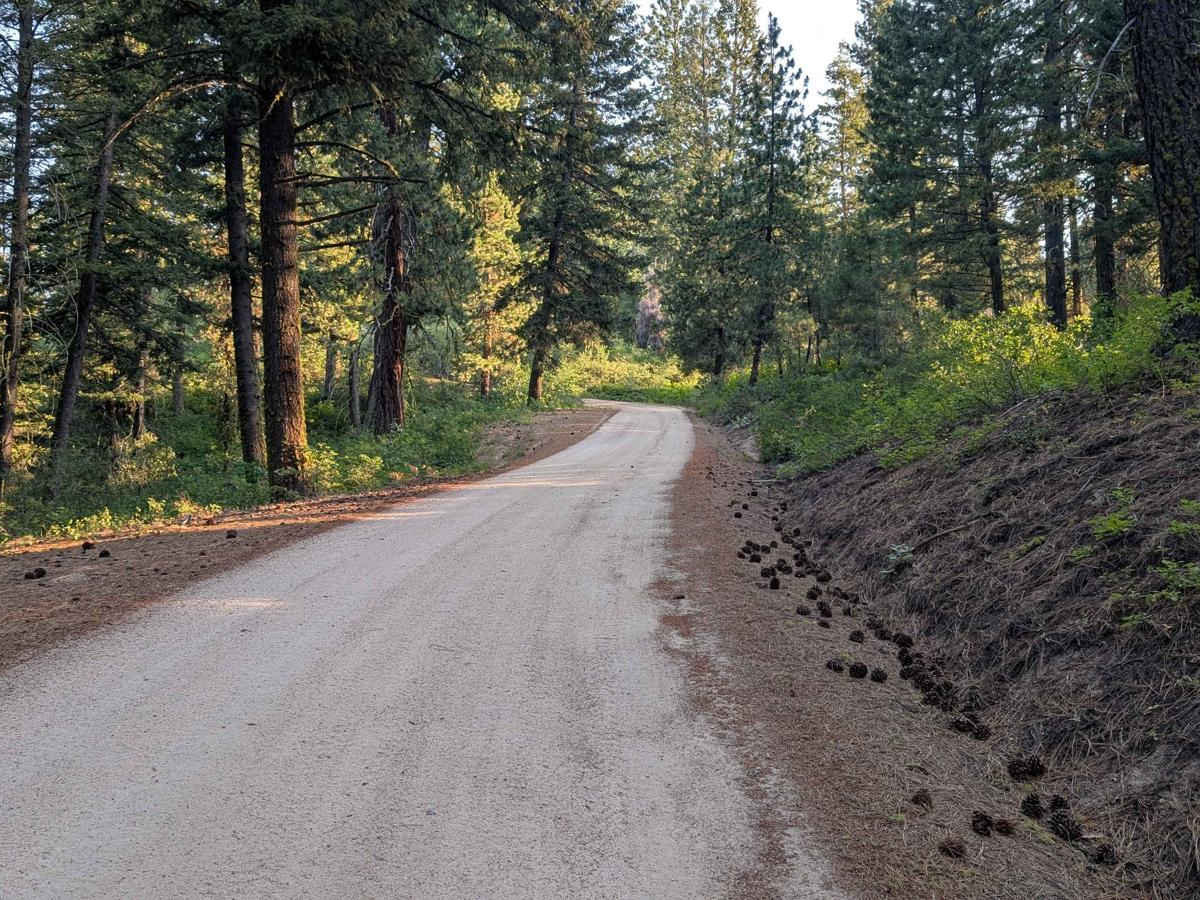 Road 374 - Southern Portion photo 4