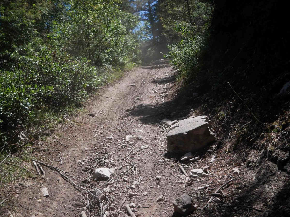 Steep Springs #3450  photo 4