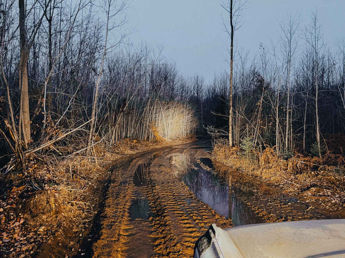 Westman Lake Logging Route trail photo