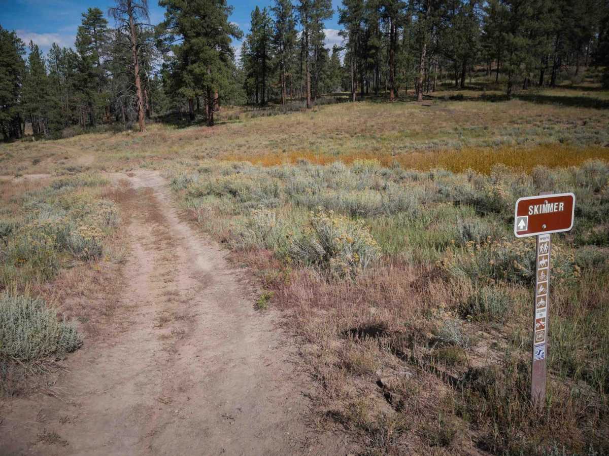 Skimmer Trail trail photo