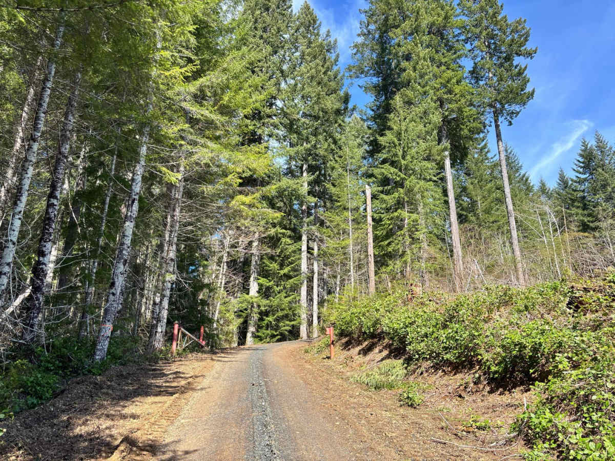 Agency Creek Road photo 4