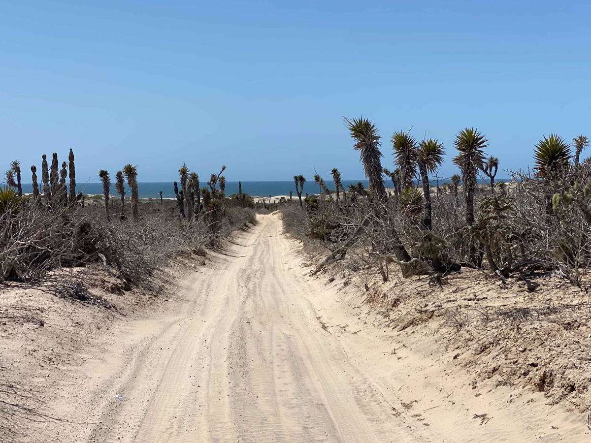 Northwest Southeast trail photo