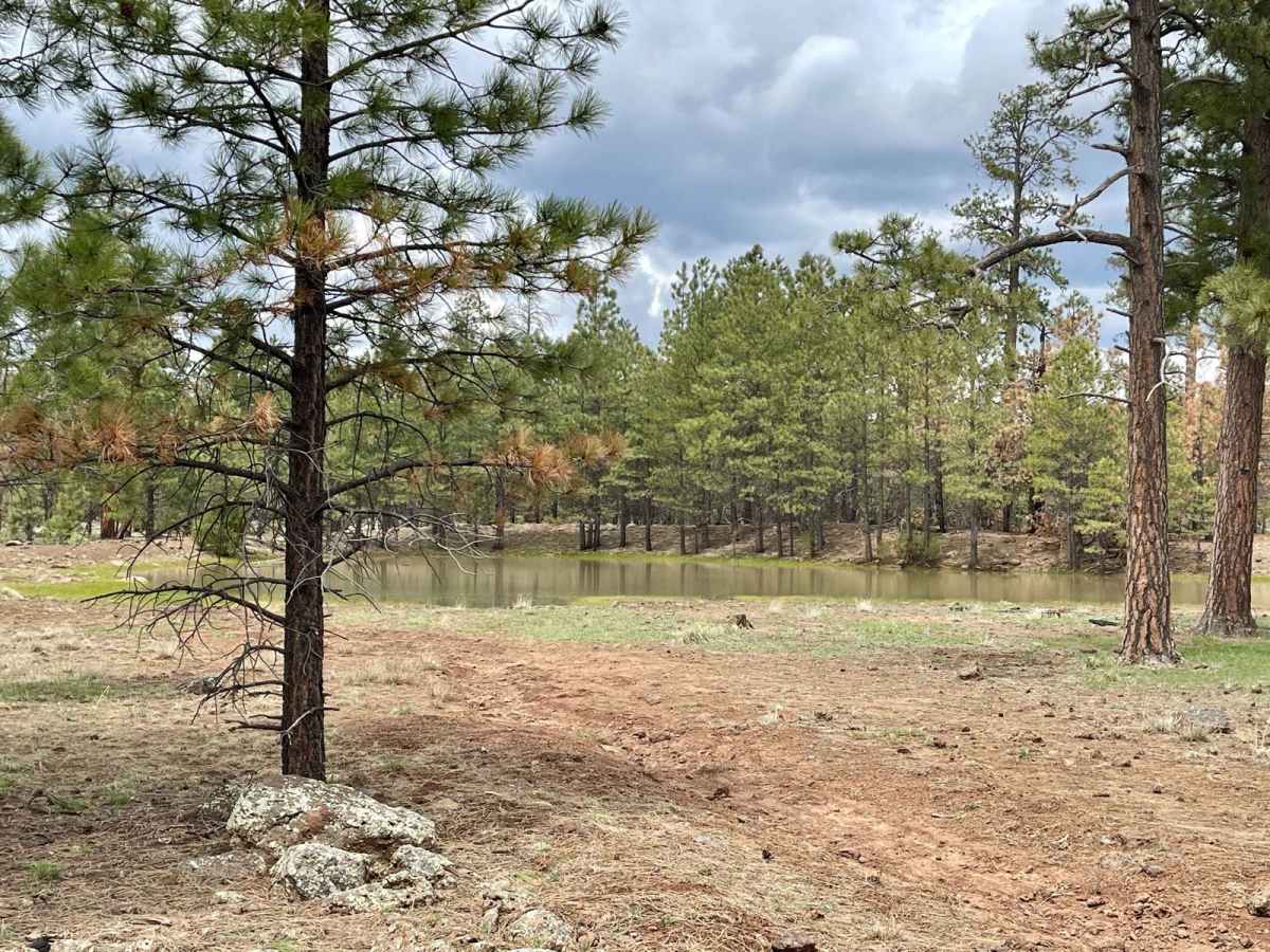 Blue Ridge Campground photo 6