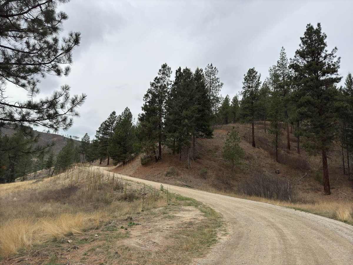 Mine Road trail photo