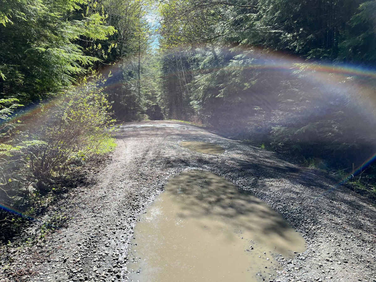 Middle Fork Nooksack - FS 38 photo 5