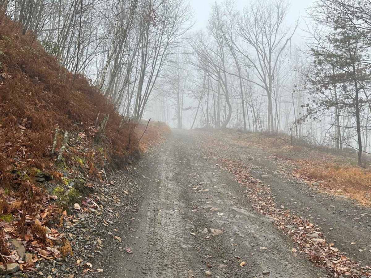Hill Island Road to Paradise Connector trail photo