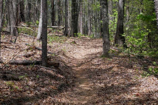 Peggy Creek Connector H