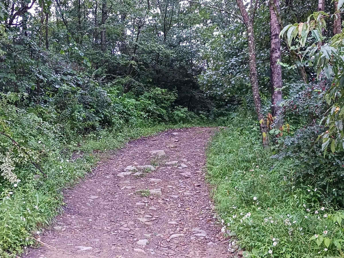 Trail 12J - Rock Run Recreation Area photo 2