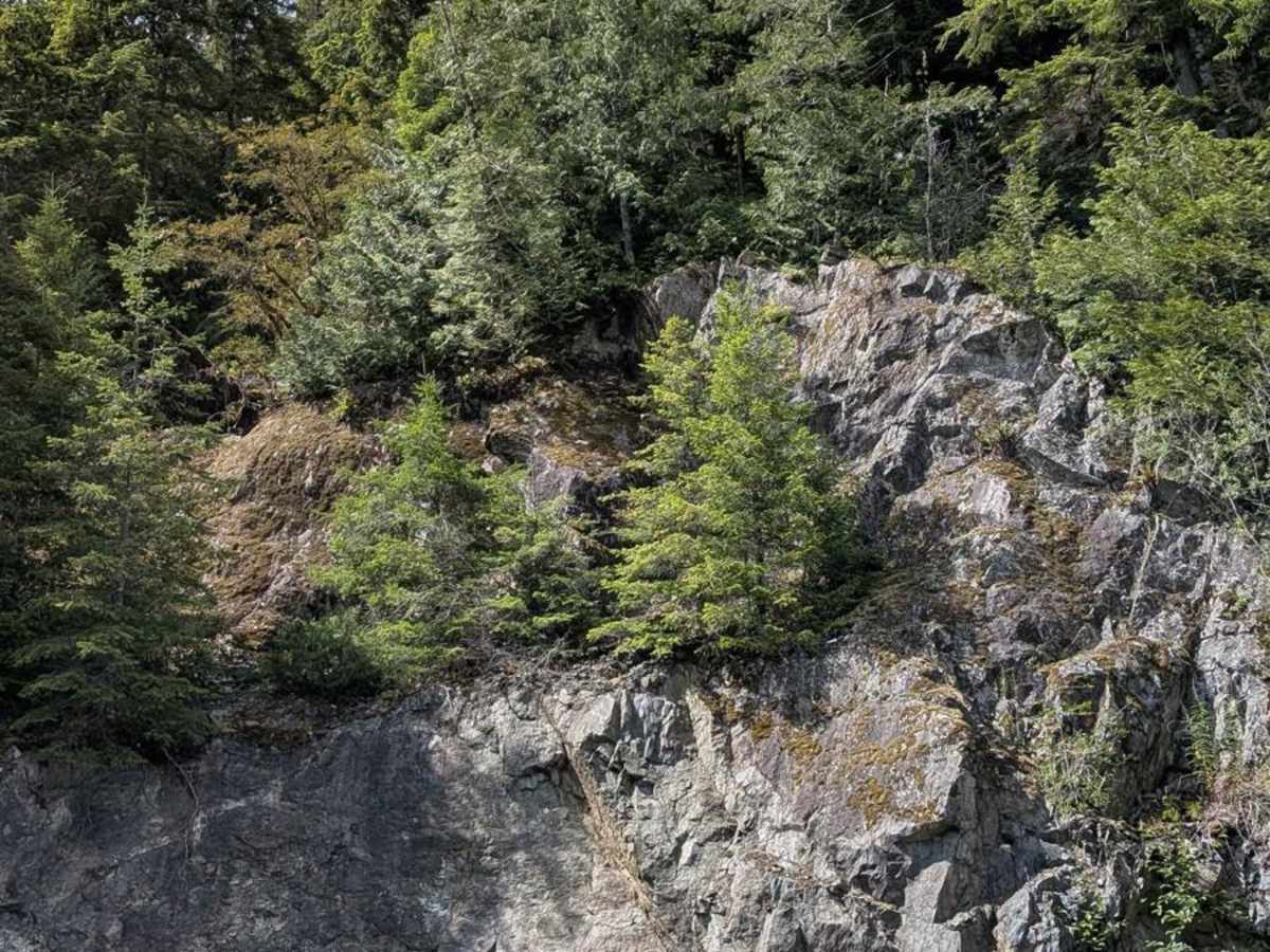 Gordon River South photo 4