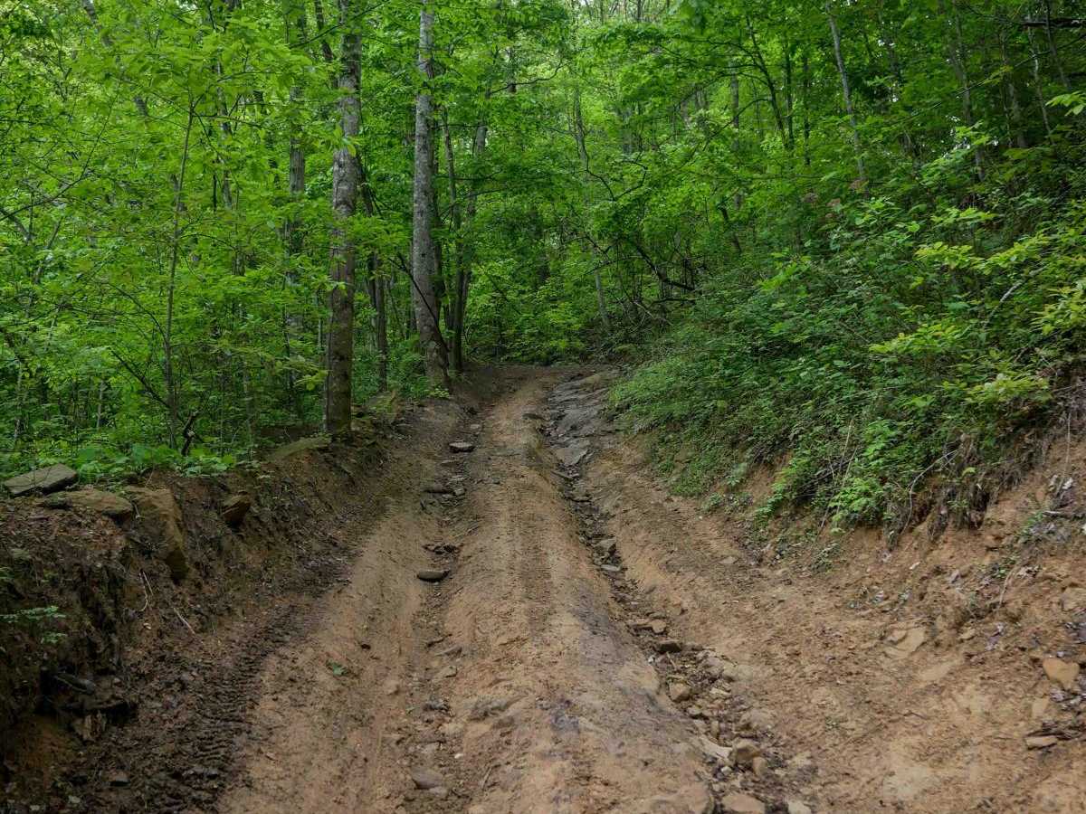 BM 89 trail photo