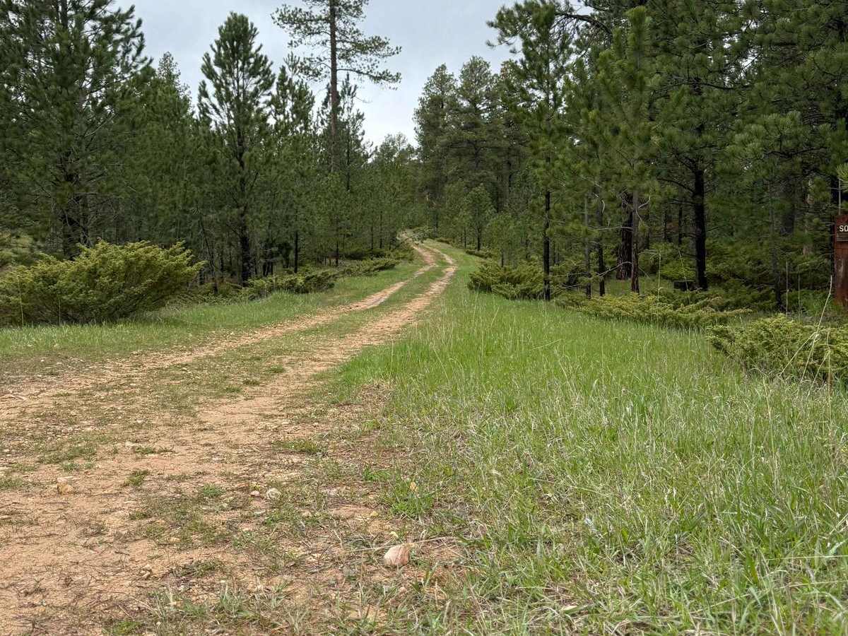 Stots Ridge photo 2