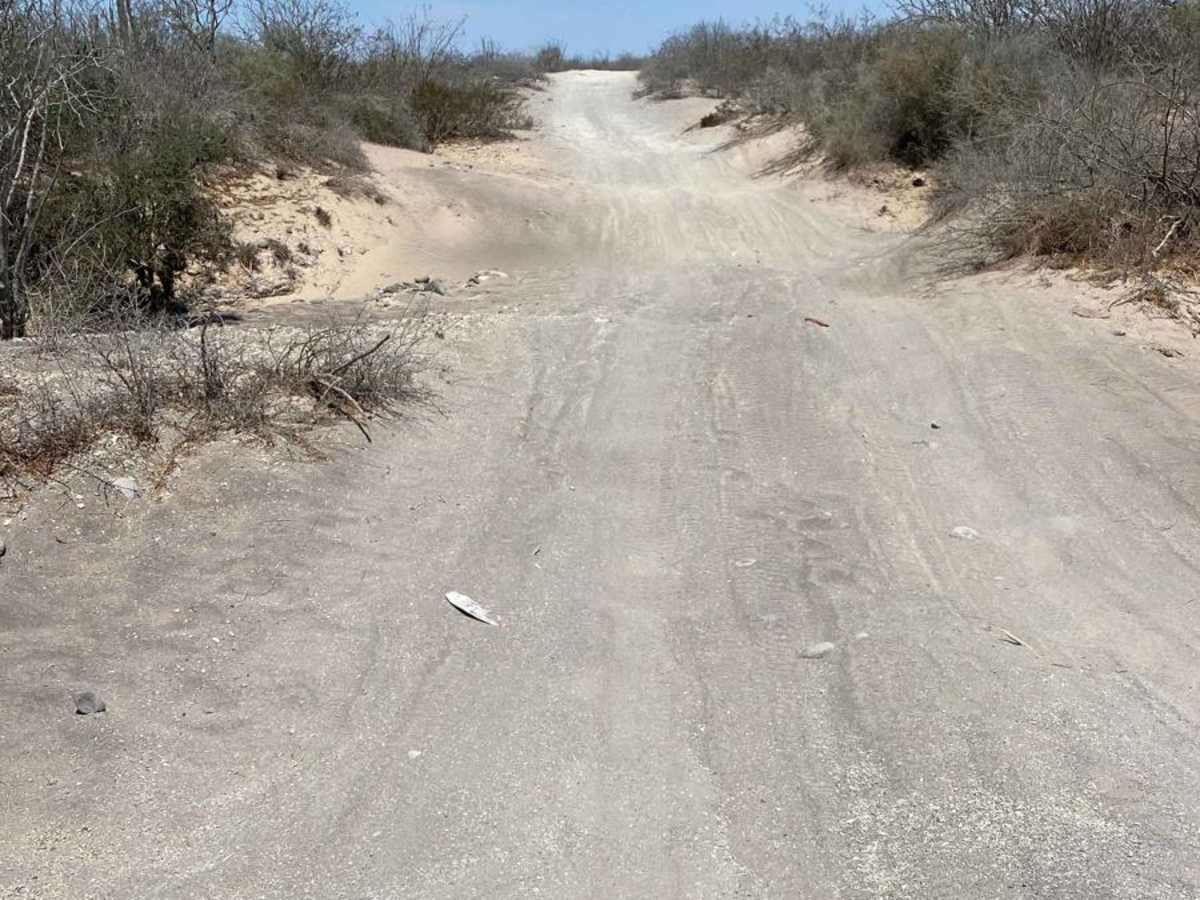 Santa Rita Loop photo 4