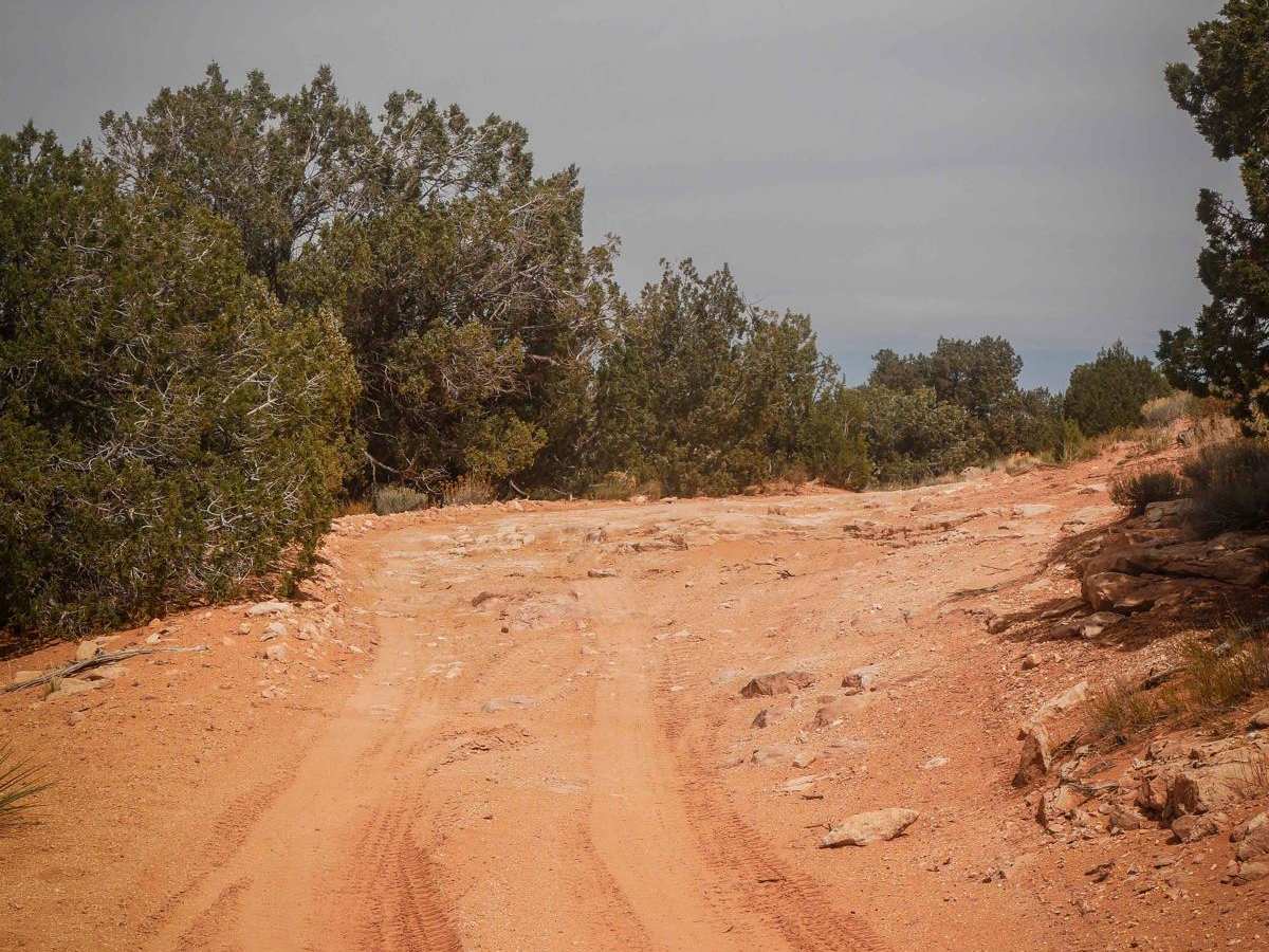 Judd Hollow/Cedar Mountain Road photo 5