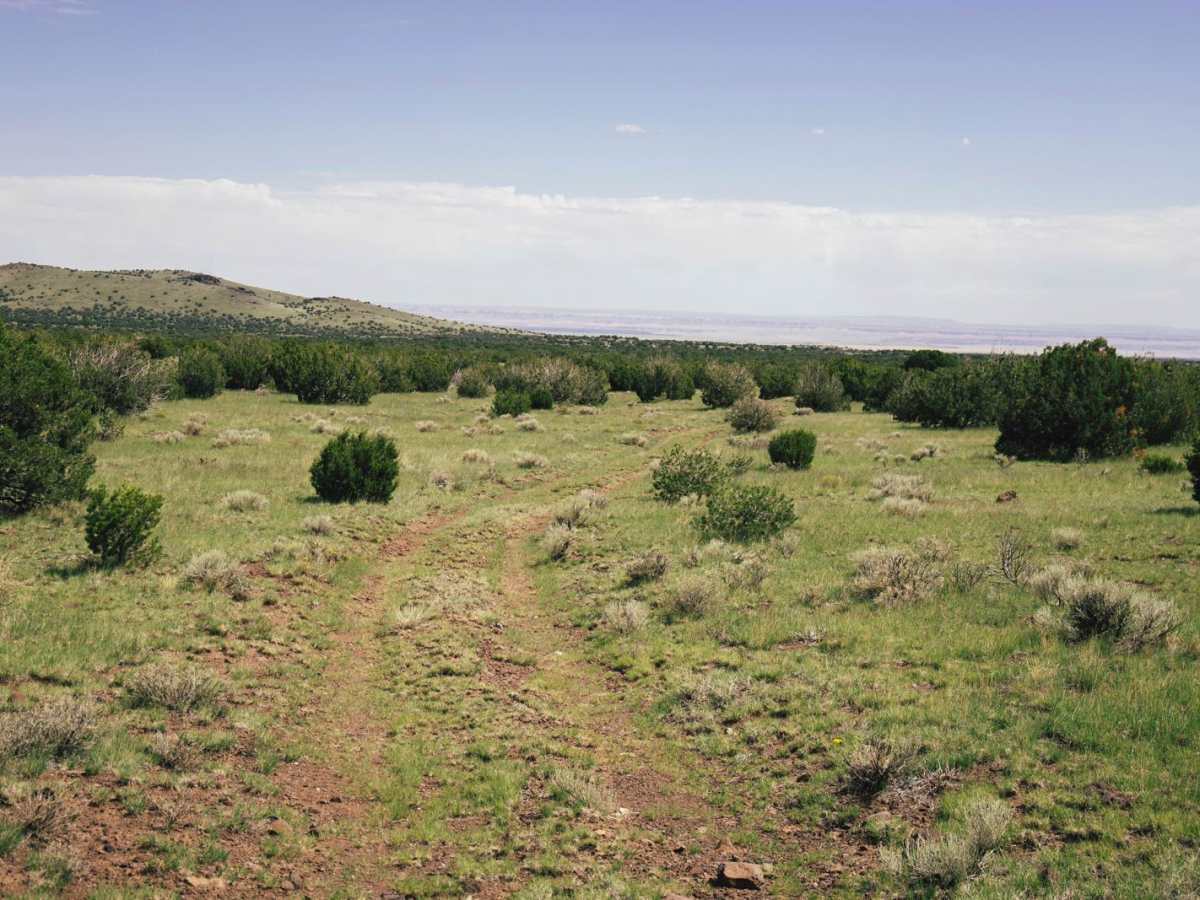 FS417b trail photo