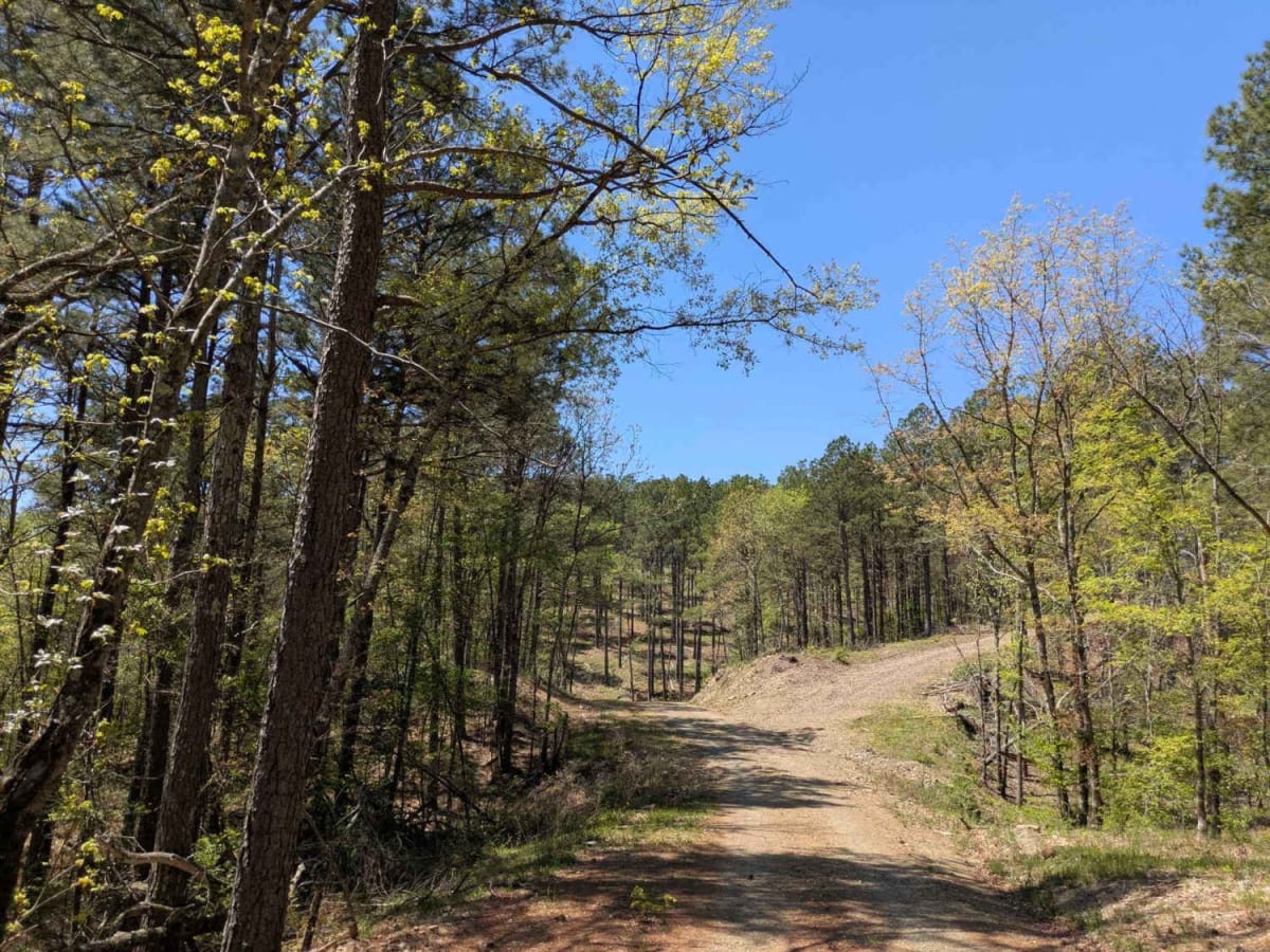 24500 trail photo