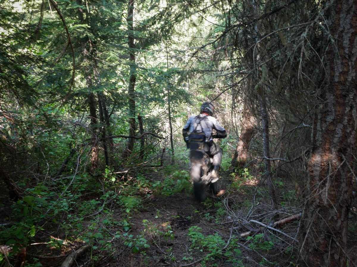 Bighorn Point photo 6