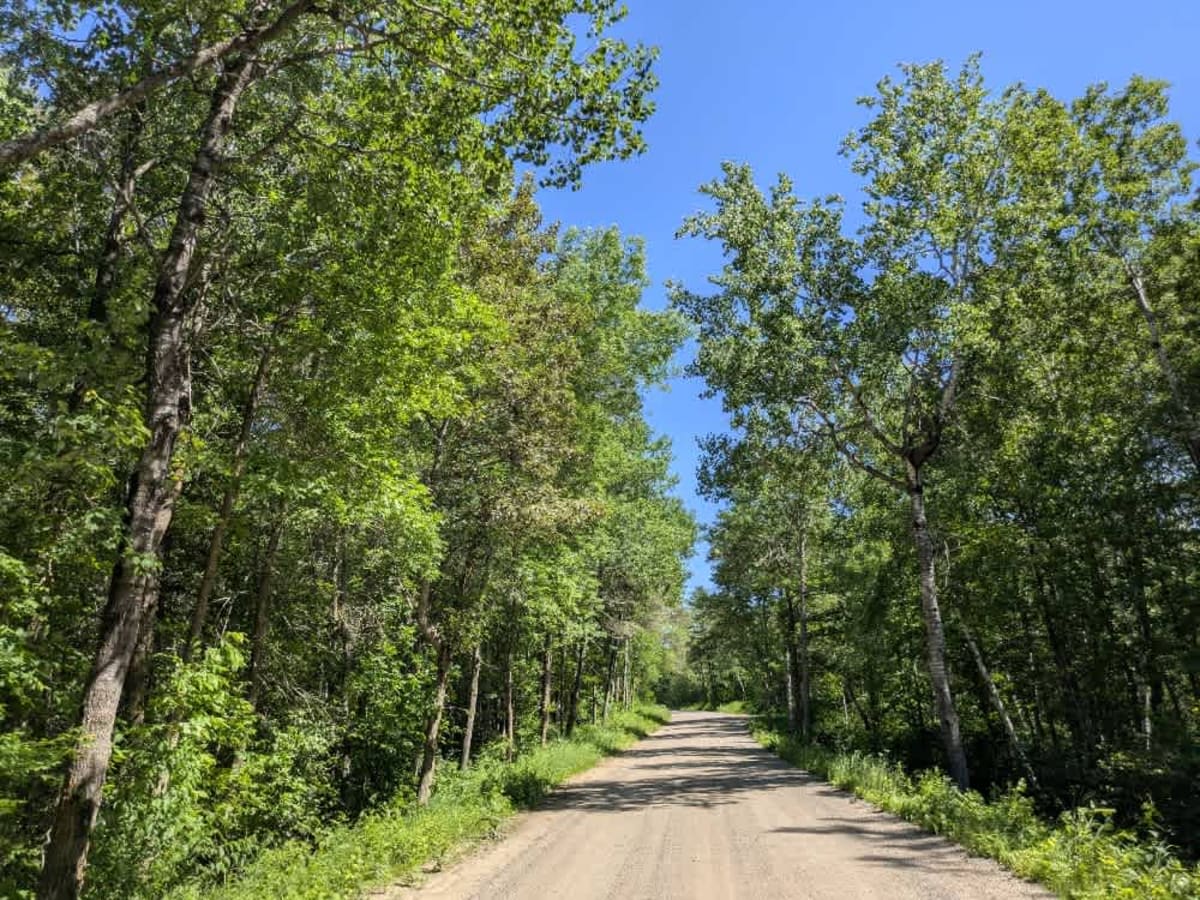County Road 125 Northeast trail photo