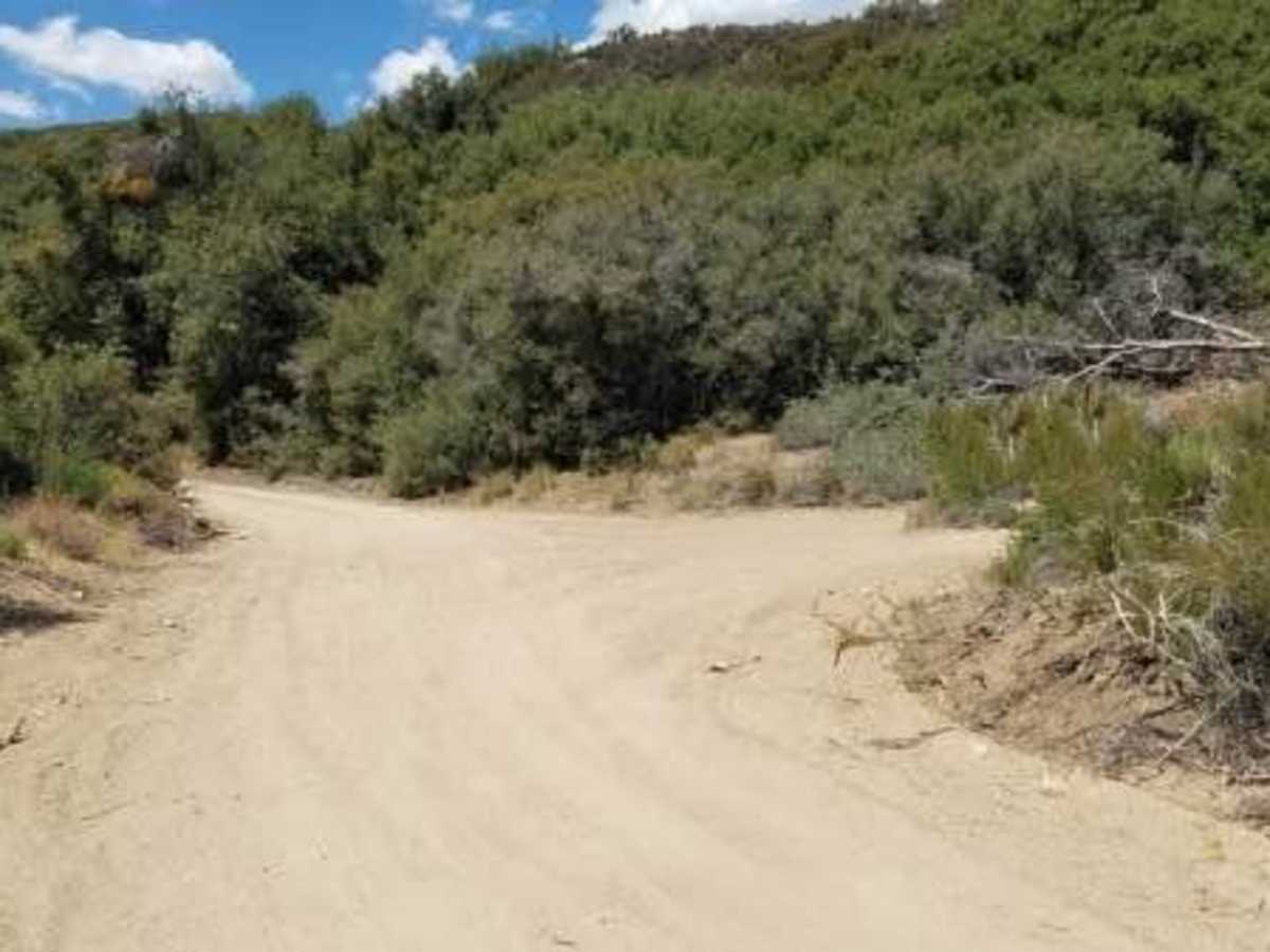Radford Frontline Road - FS 104 trail photo