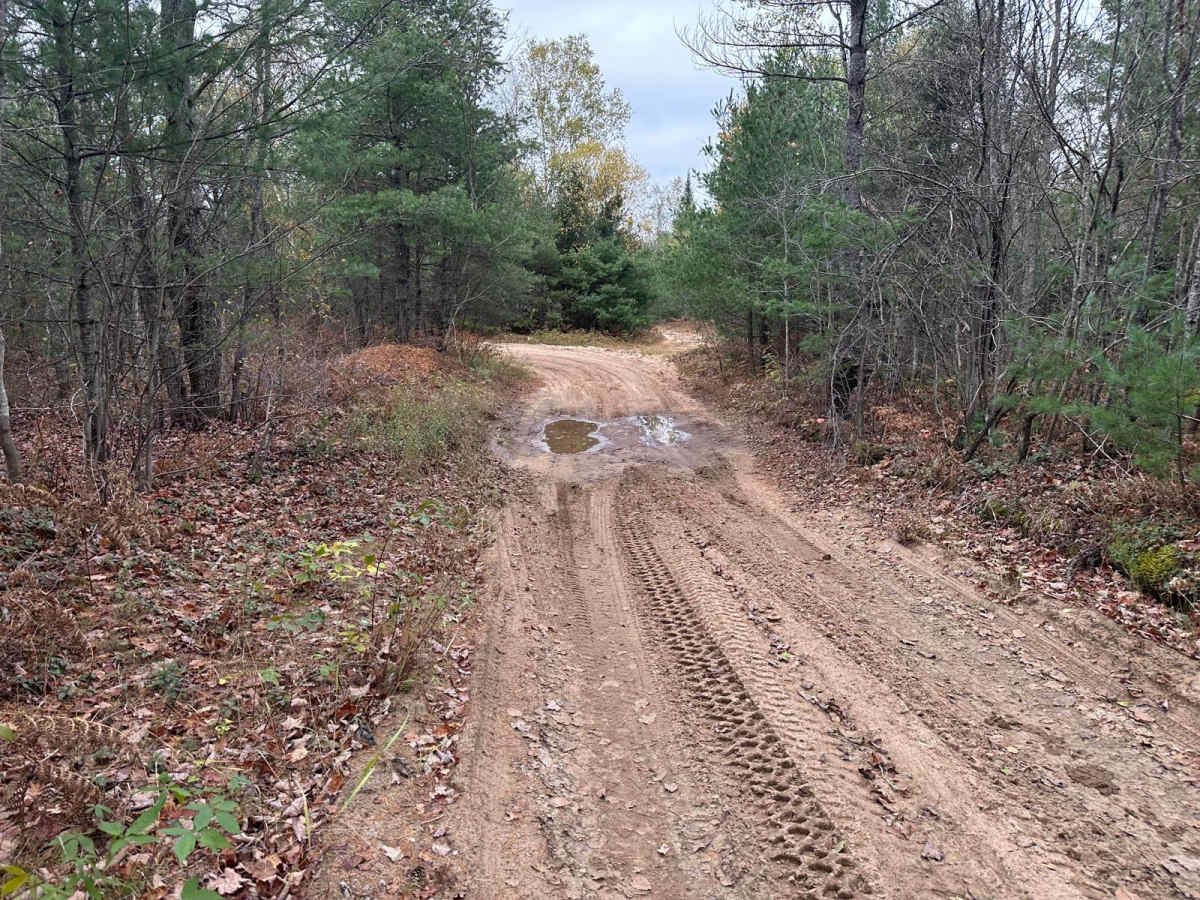 Driggs River Road photo 6