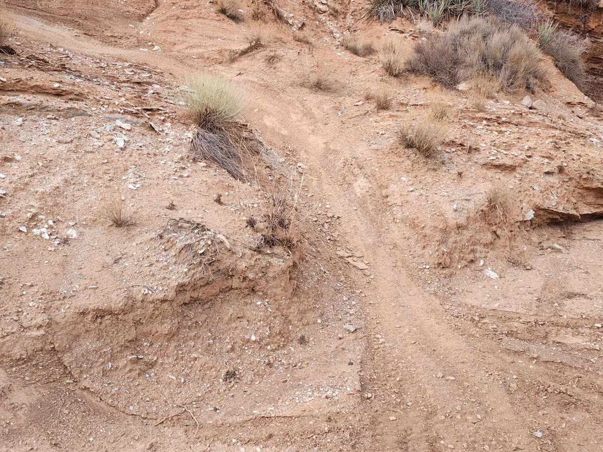 Lower Toquerville Alternate - Single Track trail photo